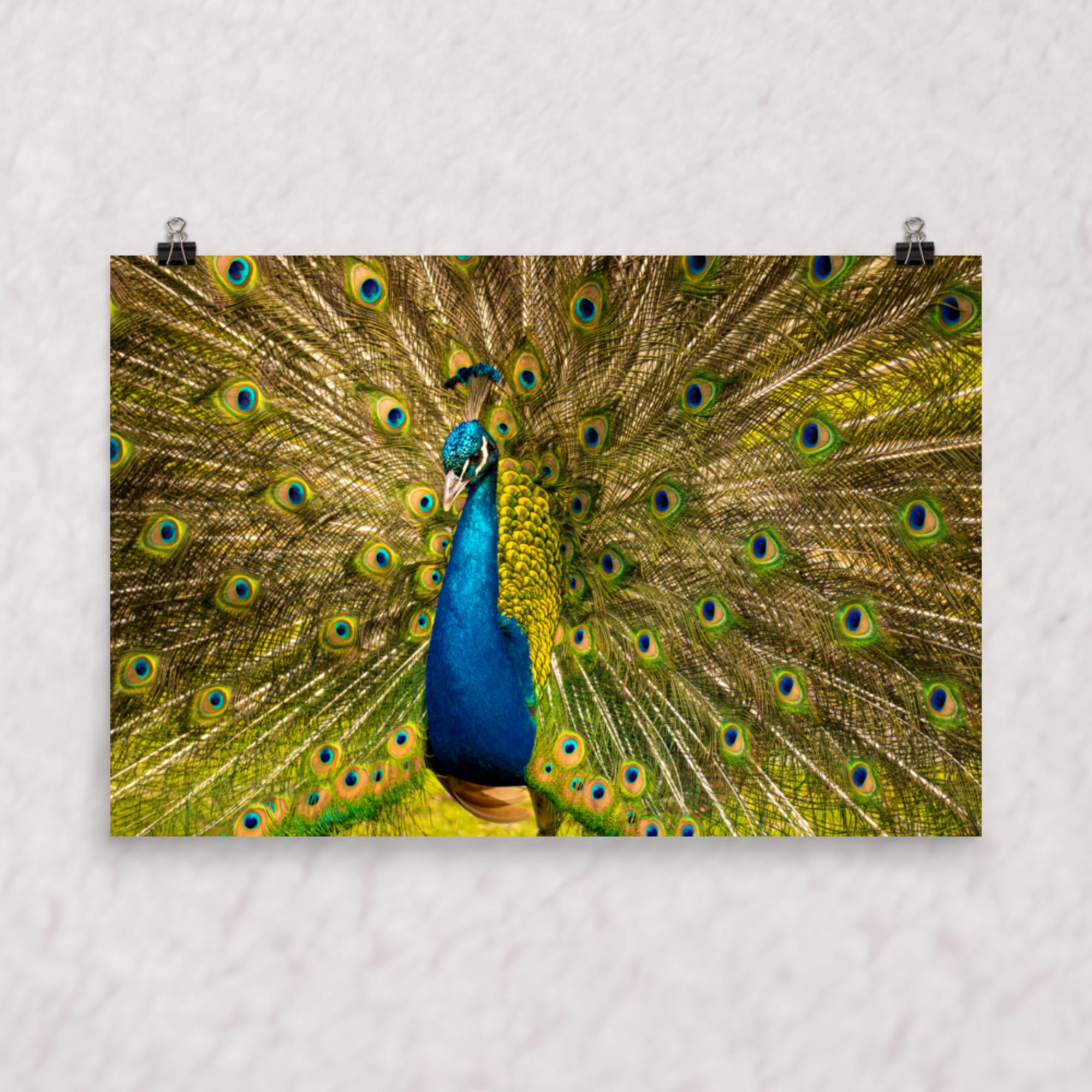 Royal Display Poster